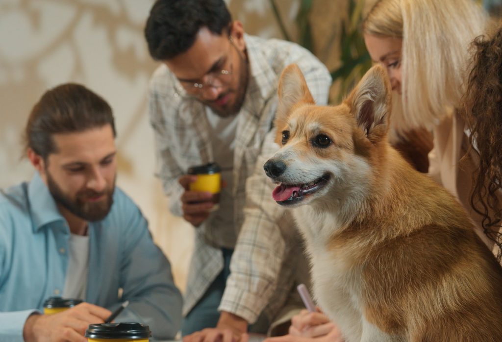 Compliance, Governance & Data Protection Consulting