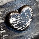 etched heart