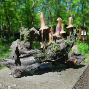 Woodland Spirit Lamp by Erika Csizmadia