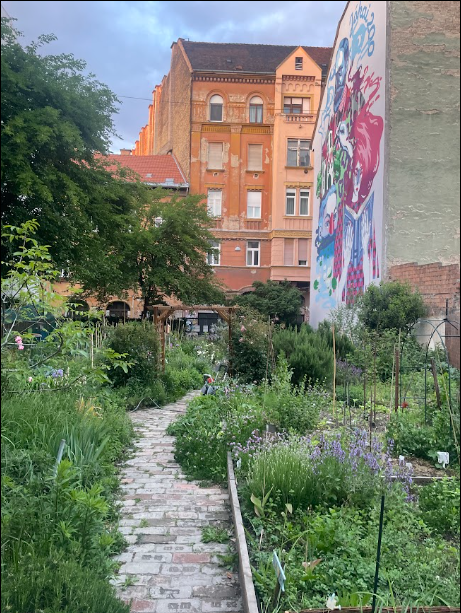 my Tikkun Urban Bees