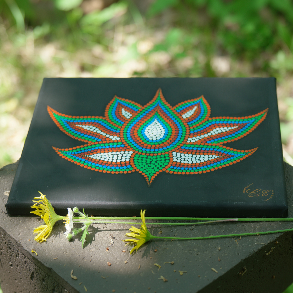 Colored Lotus Colored Lotus