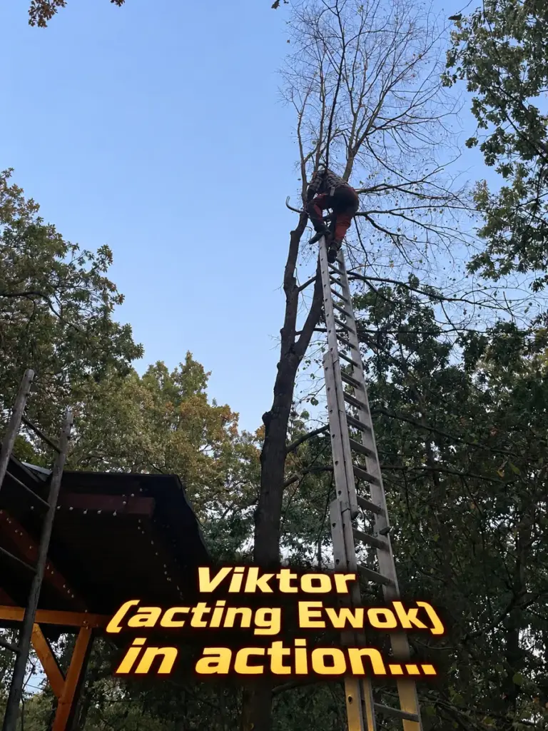 viktor acting ewok