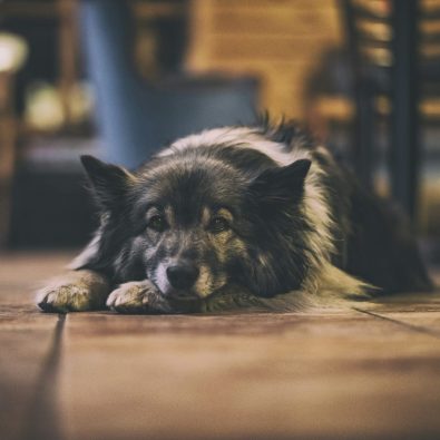 Photo by Jonatan Pie on Unsplash